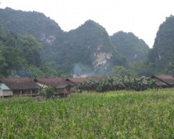 Bản làng người Tày - Nùng.