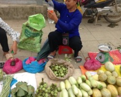 Mác cai rừng được bày bán tại chợ phiên thị trấn Bảo Lạc.