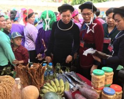 Bảo Lạc có sản phẩm nông nghiệp đặc hữu để chế biến thành các món ẩm thực độc đáo thu hút du khách thưởng thức tại các hội chợ.