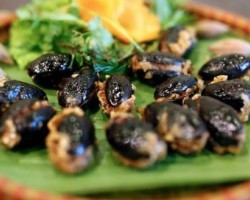 Món ăn dân dã từ trám đen – đặc sản Cao Bằng không thể bỏ qua8 bm