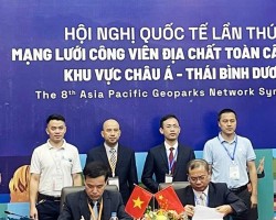 Tin 5 hợp tác