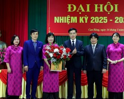 4 Tang hoa Ban chi uy moi
