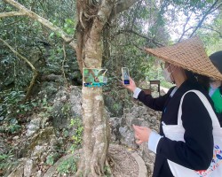 Lắp đặt hệ thống biển thông tin về đa dạng sinh học trong vùng Công viên địa chất Non nước Cao Bằng