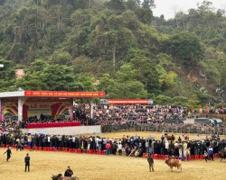 VH dân tộc
