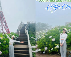 Săn mây, ngắm cẩm tú cầu – Trọn vẹn mùa hè trên đỉnh Phja Oắc