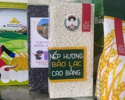 Bao bì – Chìa khóa nâng tầm giá trị quà tặng du lịch Cao Bằng