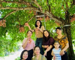 Dâu Da Cao Bằng – Hương vị mùa hè níu chân du khách