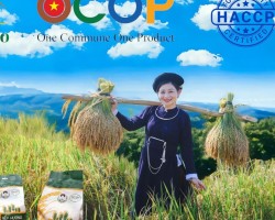 Kết nối KOLs, KOYs – Hướng đi truyền thông cần lan tỏa