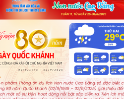 bìa tuần 11