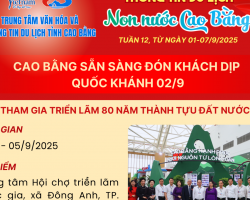 bìa TUẦN 12