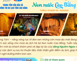 Bìa tuần 8