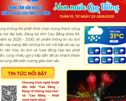 bìa TUẦN 14