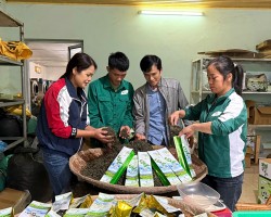 Khảo sát thu thập thông tin du lịch tại xã Thành Công