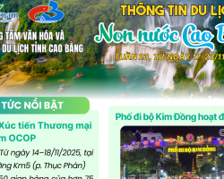 Bìa Bản tin tuần 23