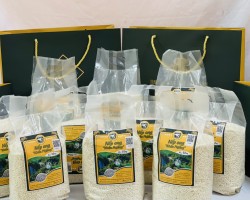 Nguyễn Trang   Nếp on g