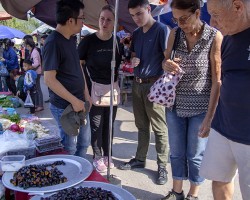 01 IMG 7479 chợ phiên thạch An