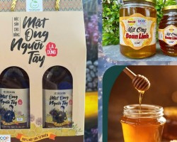 Sản phẩm mật ong Cao Bằng đạt chuẩn OCOP