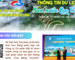 đăng bìa Tuần 28   TTDLCB (2)