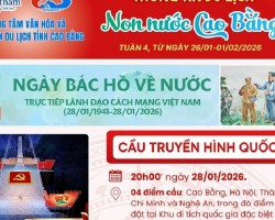 đưa lên bản tin