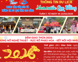 Bìa dang TTDL Tuần 7