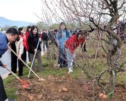 Sở Văn hóa, Thể thao và Du lịch Cao Bằng phát động “Tết trồng cây đời đời nhớ ơn Bác Hồ” Xuân Bính Ngọ 2026