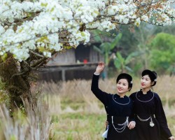 Thiếu nữ Tày và mùa hoa lê   Hà Cương (2)