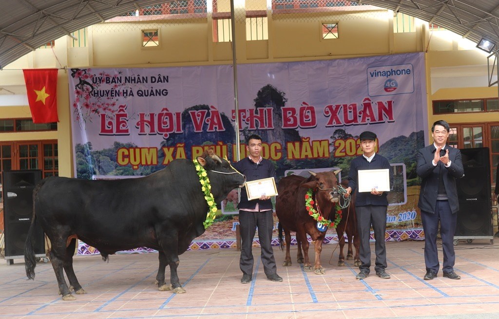 Lãnh đạo huyện Hà Quảng trao giải cho các chủ bò.