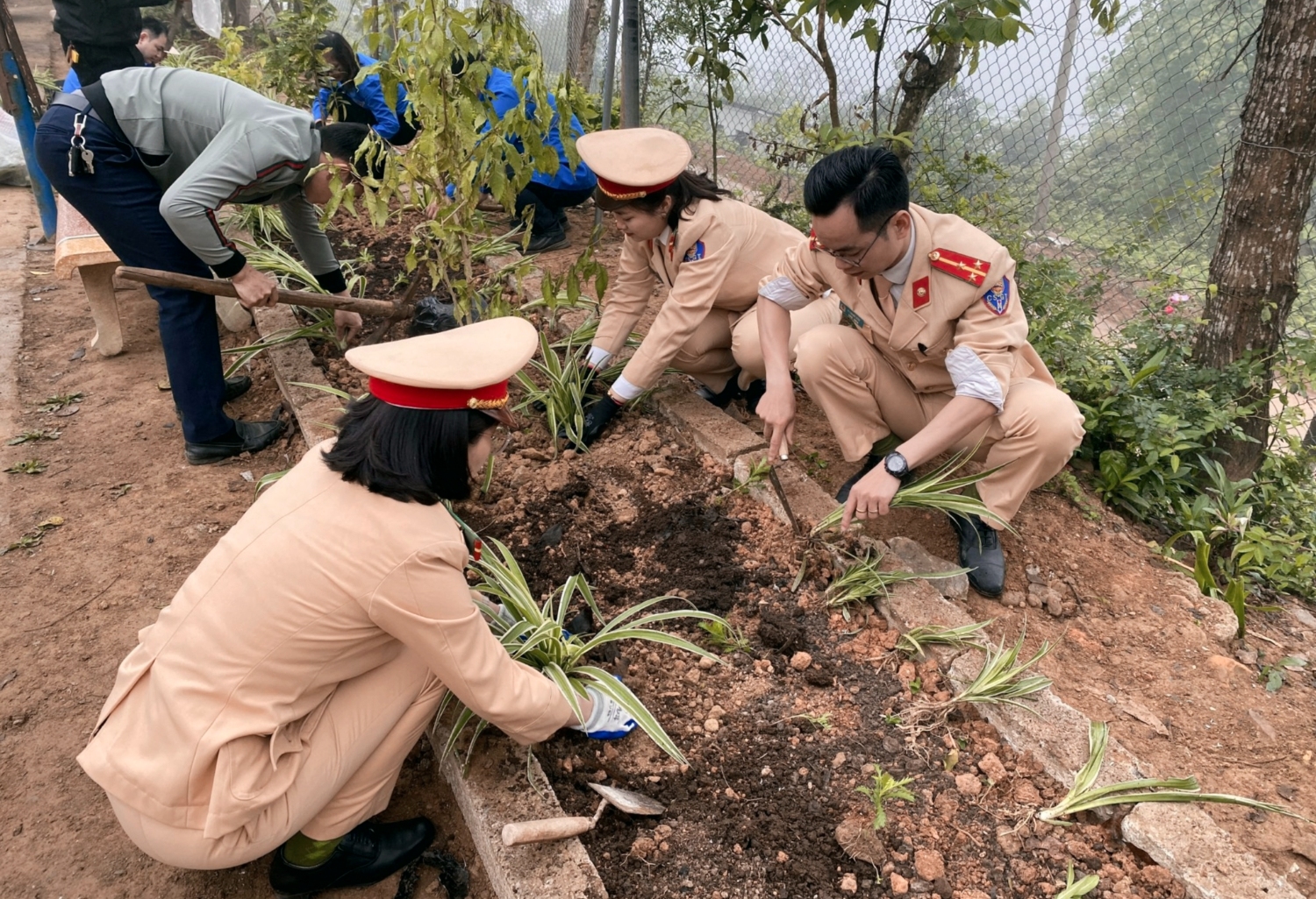 Các đoàn viên chi đoàn, hội PN Phòng CSGT hăng hái trồng cây