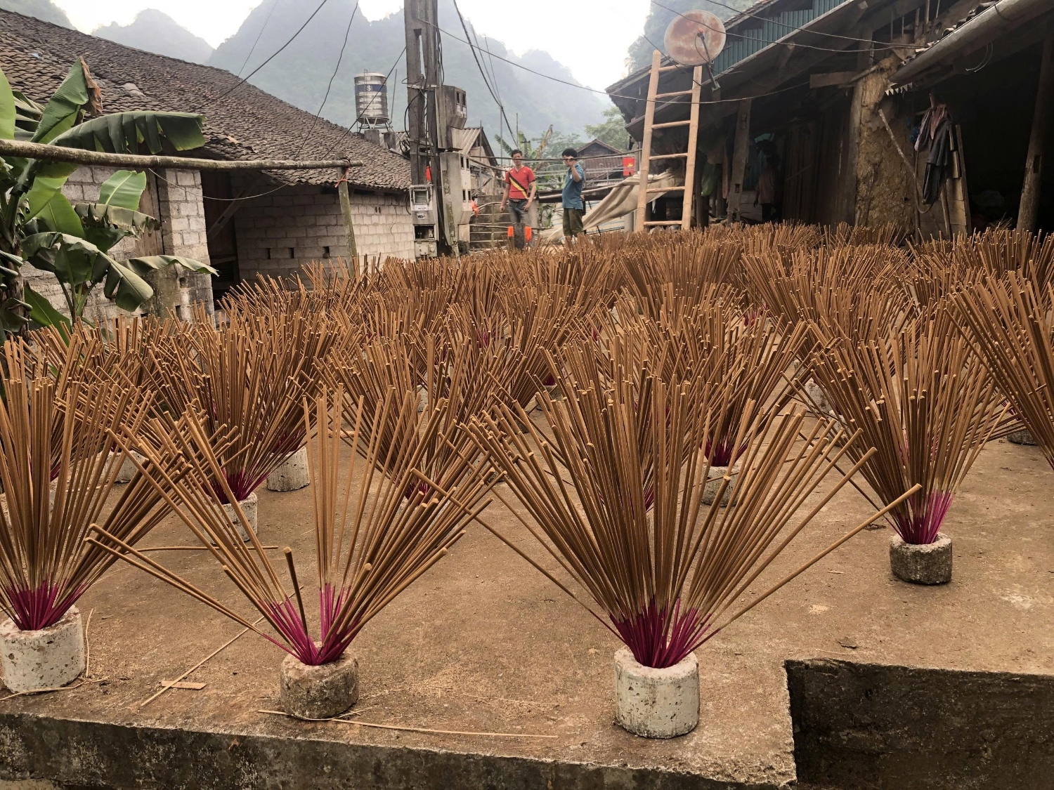 4958c6db7245fe1ba7541