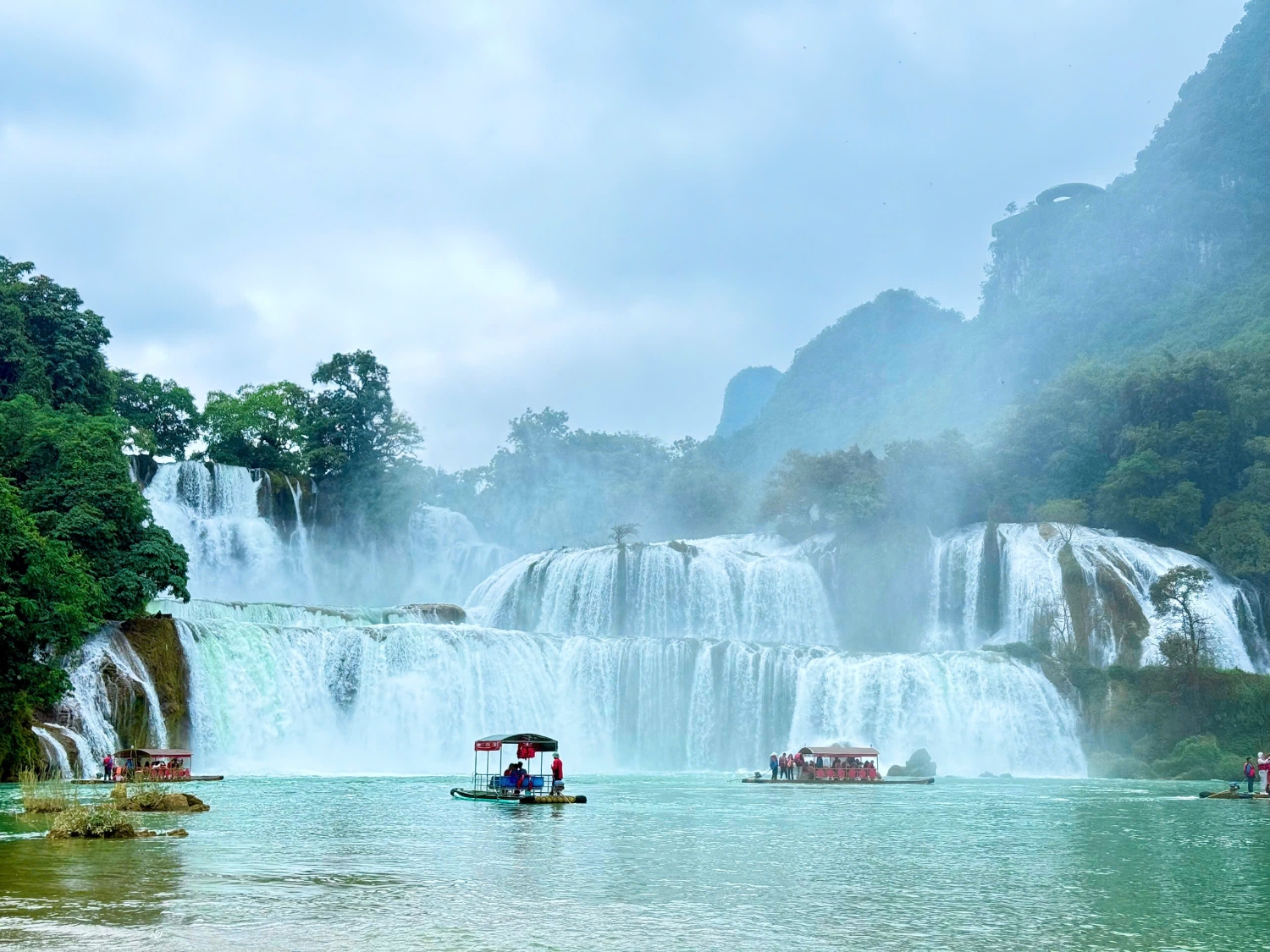 5b6d84f01c00905ec9113