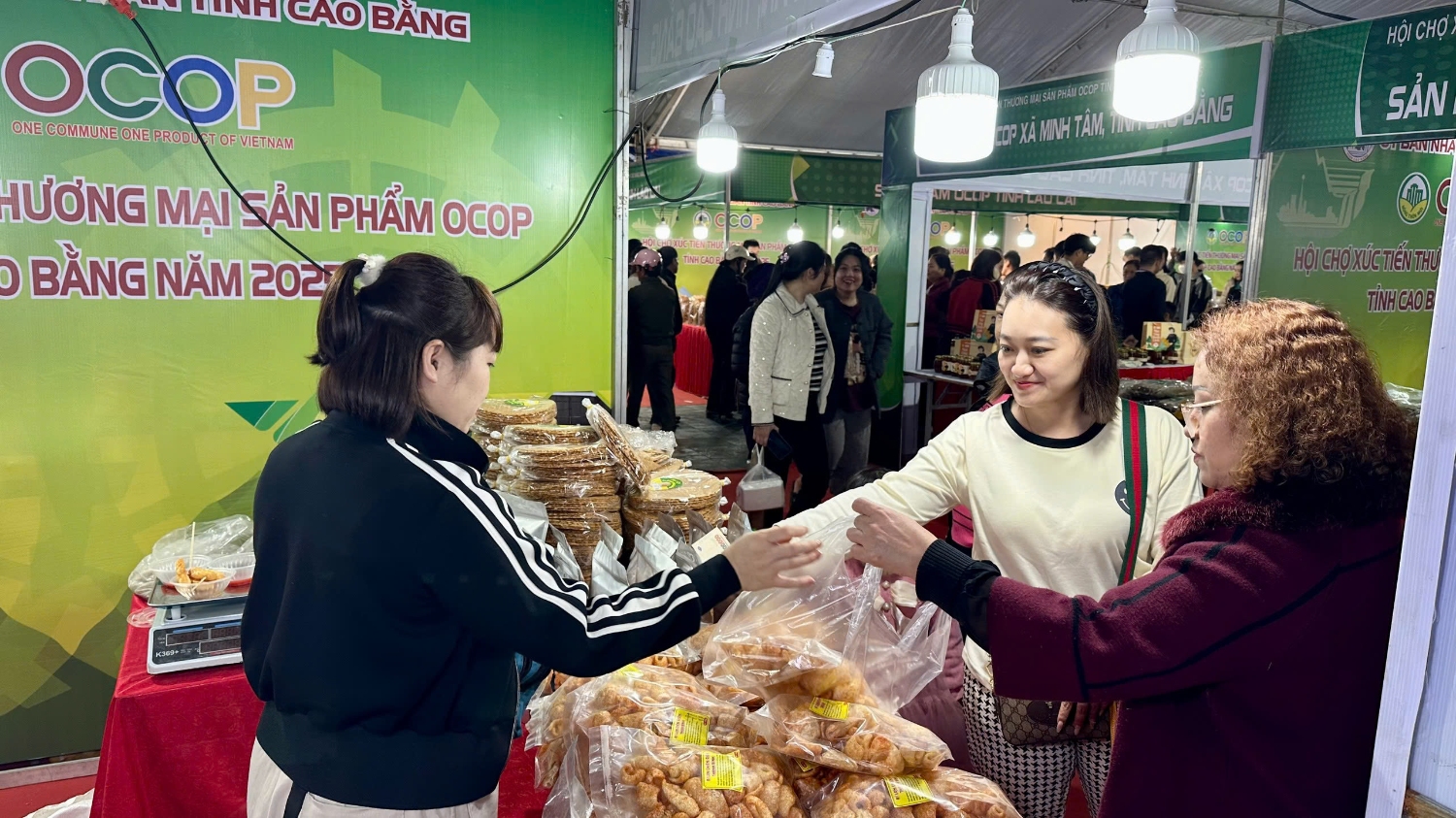 e348e9b4c6624a3c13733