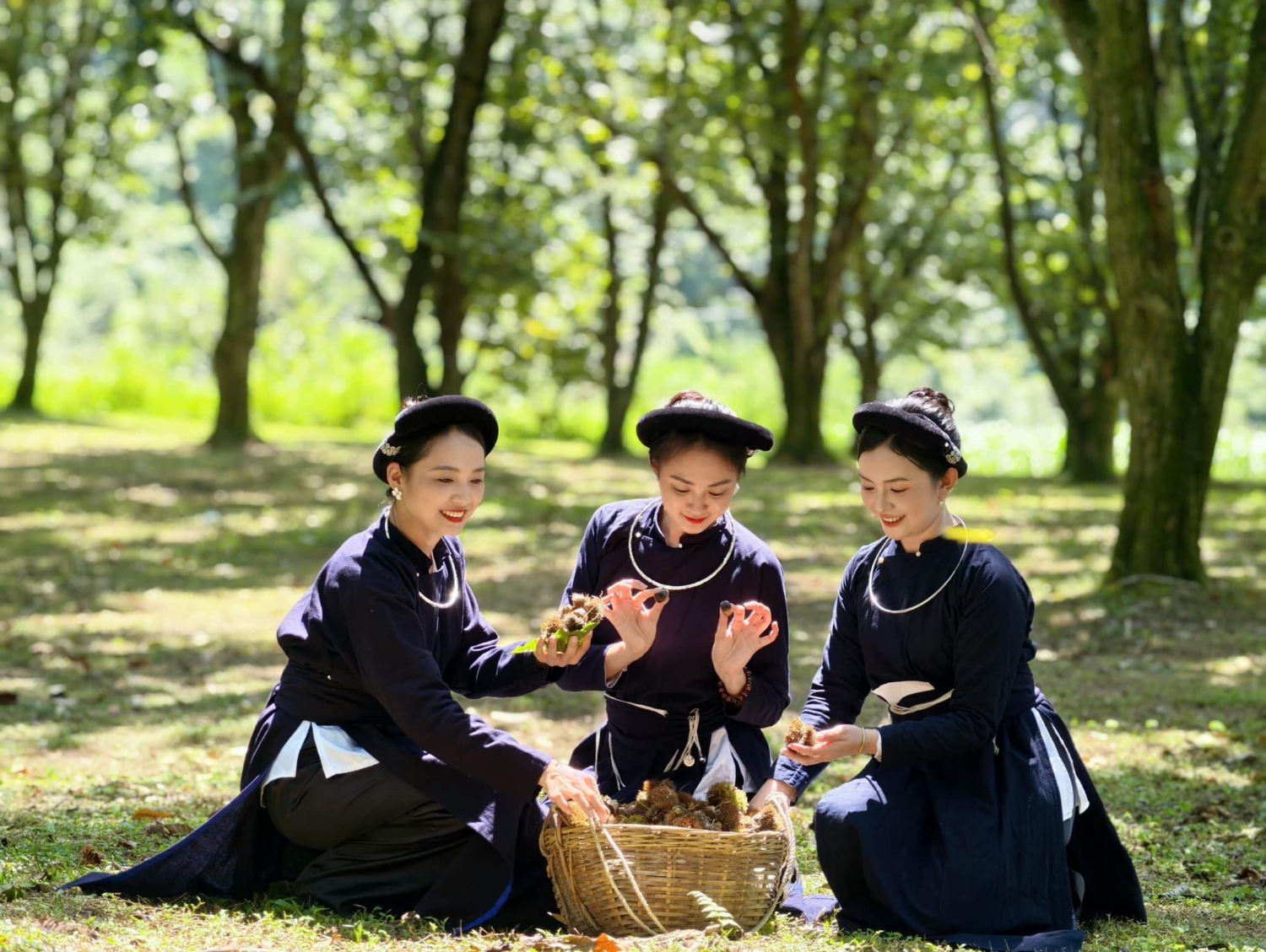 HÀ CƯƠNG VƯỜN DẺ