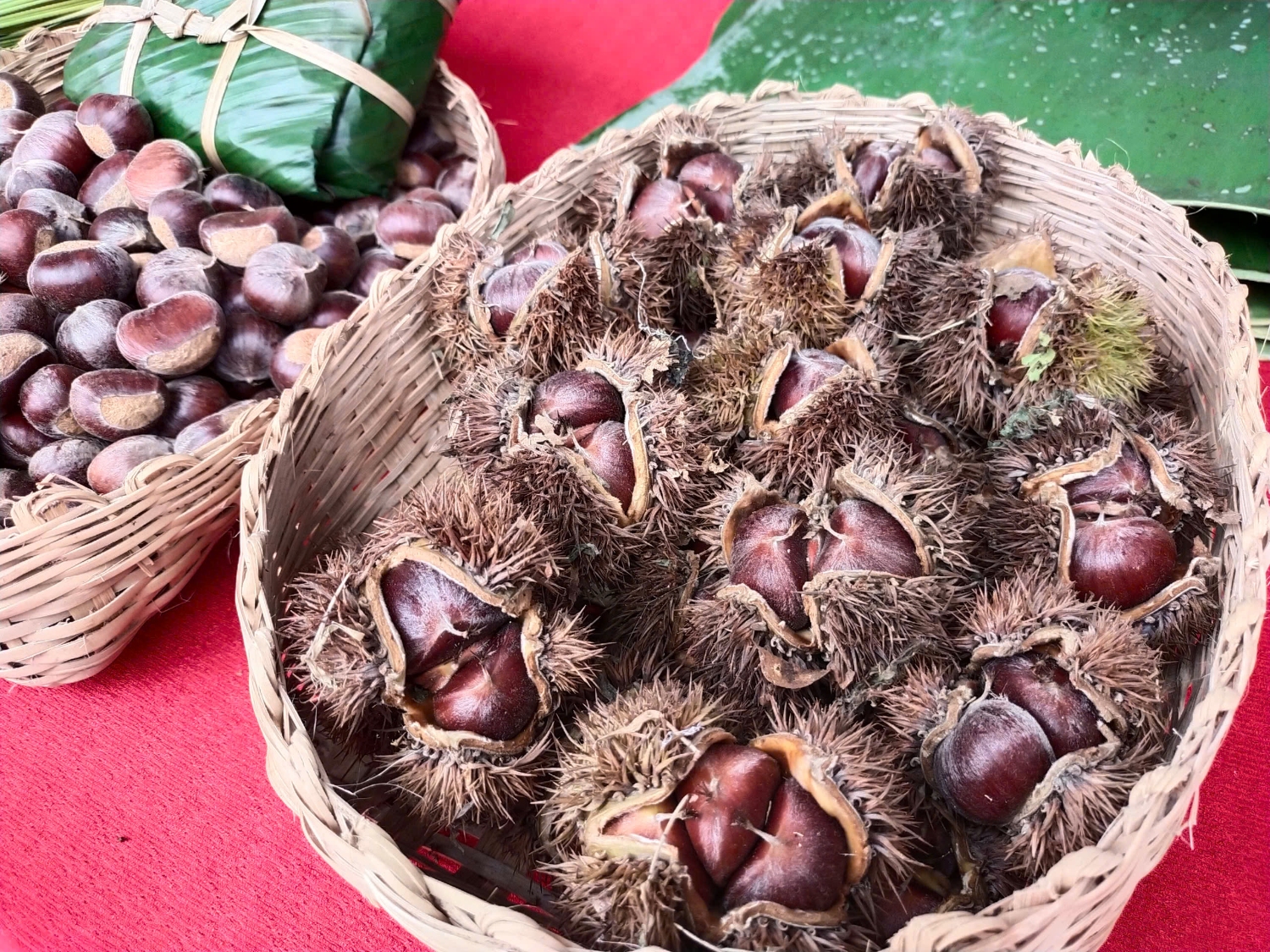 z6747643027636 c7226d491f4b146ec8f5f62d10ce2d5f