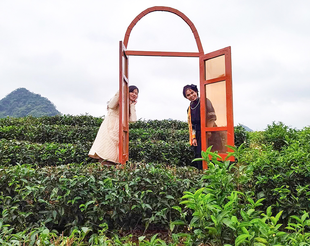 03 Du khách checkin trên đồi chè Lũng Sâu