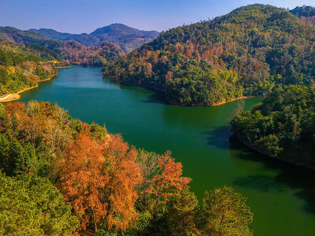 5363f1df800b0f55561a3