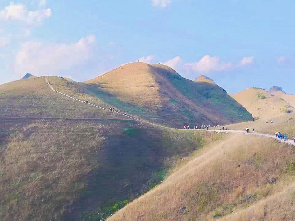 53a4341f45cbca9593da4