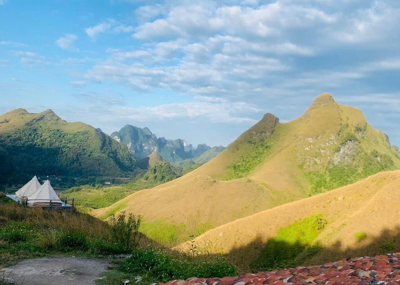 b6bc1c016dd5e28bbbc42