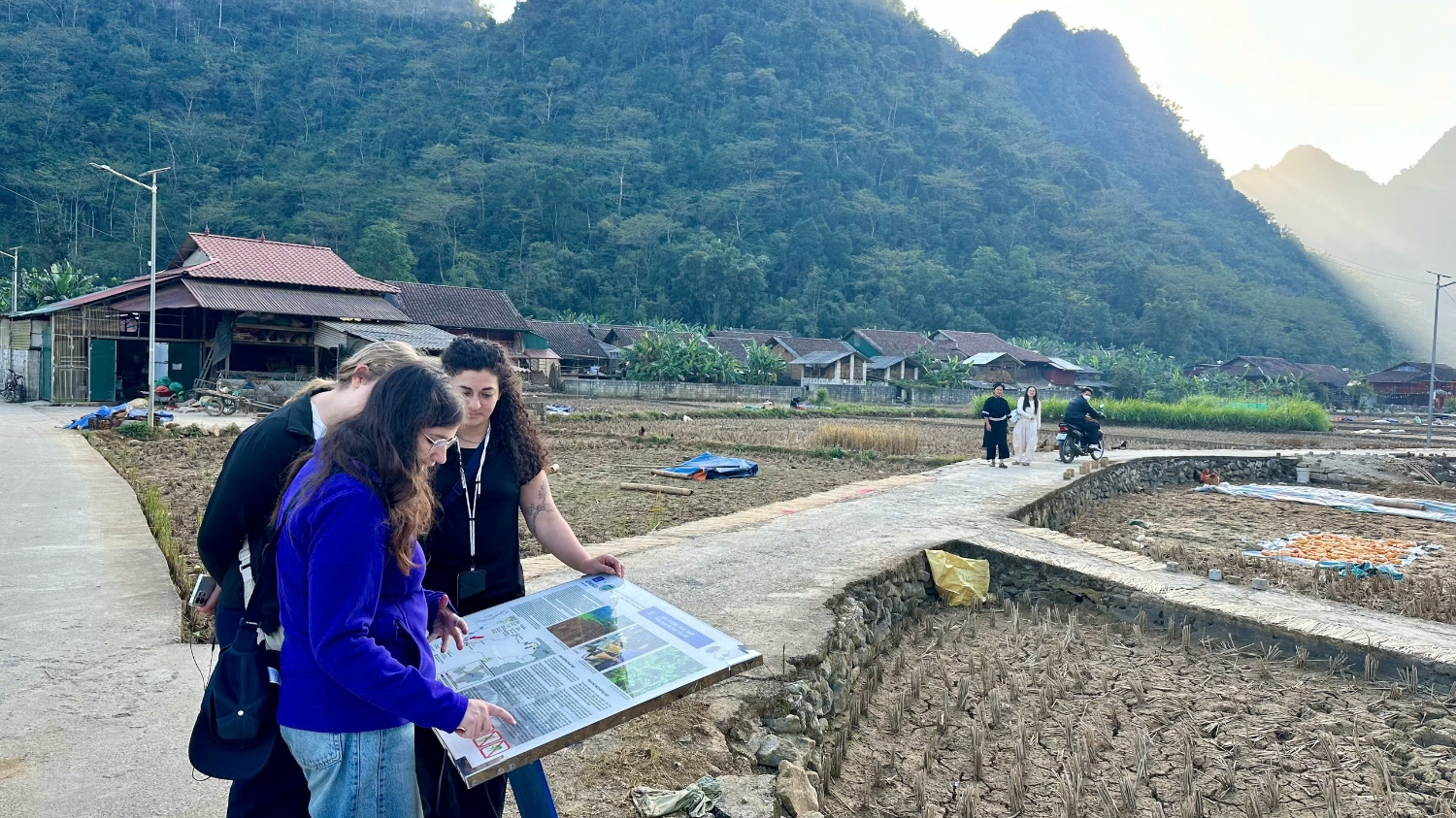 e27ea2f351a5defb87b41