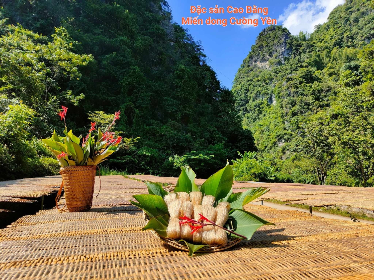 mIẾN DONG CƯỜNG YÊN