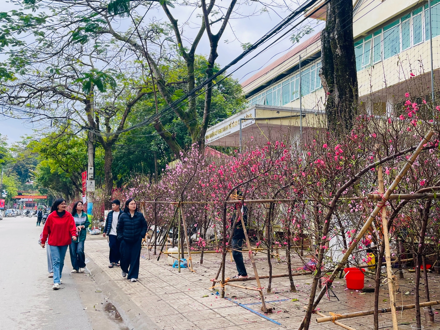 39ff156be94667183e57